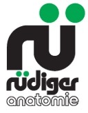 RüDIGER-ANATOMIE