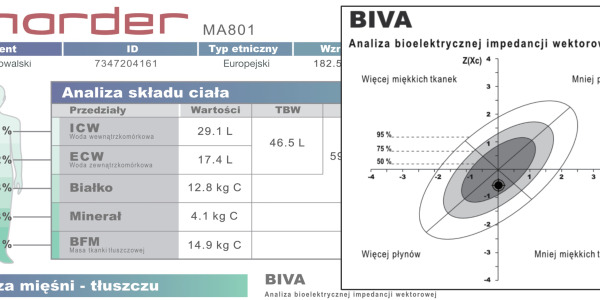 Wektorowa analiza impedancji bioelektrycznej - w skrócie BIVA